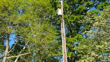 Tree Removal for Brooks Tree Service in Casar, NC