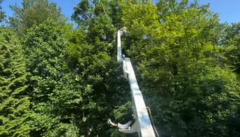 Tree Removal for Hennessey Tree & Landscape LLC in Oxford,  CT 