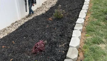 Tree Removal for Oakhurst Landscaping and Tree Service in Charlotte, NC
