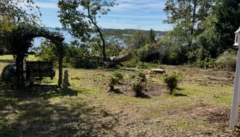 Tree Removal for Thompson Tree Climbers, LLC in Lexington, SC