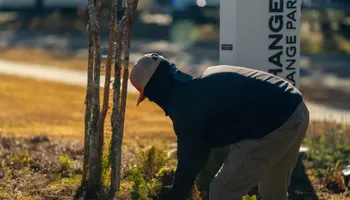 Landscape Lighting for Pro Designs Landscaping in Jacksonville, FL