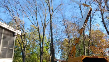 Tree Care for Buffalo Family Tree Care in Buffalo, MN