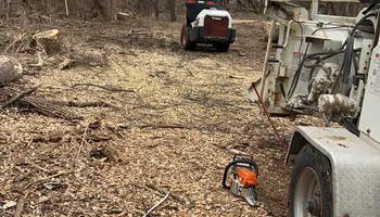 Tree Removal for Fransen's Tree Service  in Freeport, IL
