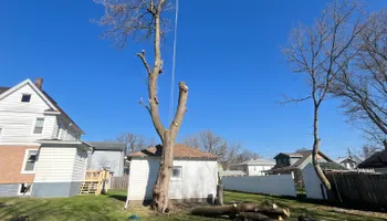 Tree Removal for Licensed to Cut Tree Service in Athens, PA