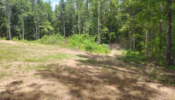 Land Clearing for 5 Star Land Management in Beech Bluff, TN