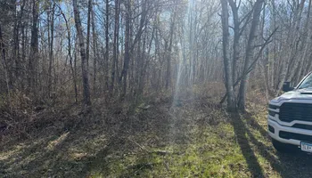 Land Clearing for Northern Summit Landworks in Little Falls, MN