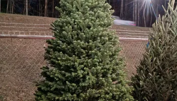 Pinestraw for BAM Another Pinestraw Lot in Flowery Branch, GA