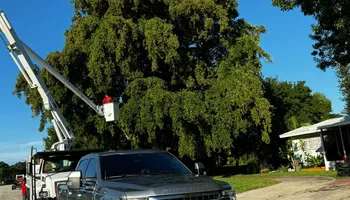 Tree Removal for Outdoor Solutions Of The Glades in Hendry County, FL