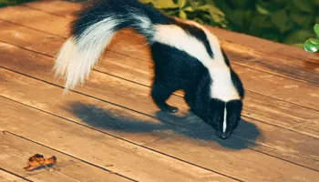 Residential Wildlife Control for The Critter Crew in DFW, TX