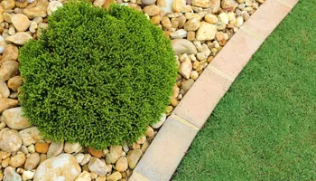 Lawn Mowing and Maintenance for Chief Lawn Care in Lee's Summit, MO