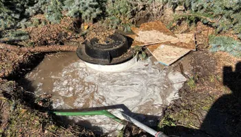 Landscape Installation for Falls Property Services  in Idaho Falls, ID
