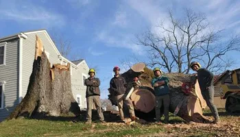 Tree Removal for Smith Tree Experts in Palmyra, VA