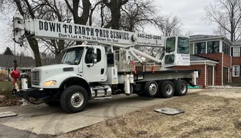 Tree Removal for Down To Earth Tree Service, LLC in Westlake, OH