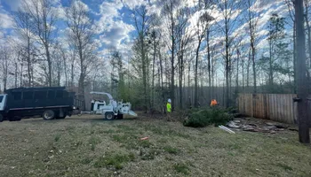 Tree Removal for Ross Family Tree Service LLC  in Hohenwald, TN