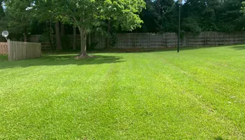 Weed Control & Fertilization for Landscape Legends in Roanoke, TX