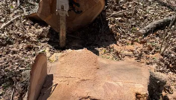 Tree Removal for Kadin’s Tree Service in North Vernon, IN