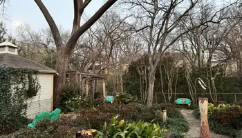 Tree Removal for Year Round Trees & Concrete Inc. in Fort Worth, TX