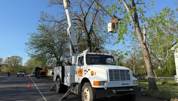 Tree Removal for Ross Family Tree Service LLC  in Hohenwald, TN