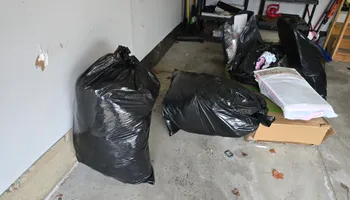 Dumpster Rentals for Newton's Junk Removal Services in Saline, MI