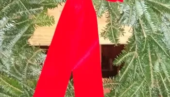 Pinestraw for BAM Another Pinestraw Lot in Flowery Branch, GA