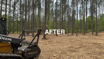 Land Clearing & Demolition for Central Alabama Site Works in Selma, AL