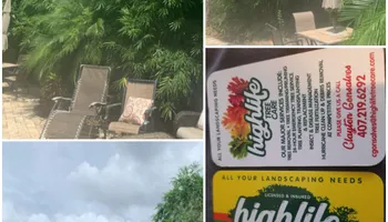 Tree Trimming for Highlife Tree Care And Landscaping in Altamonte Springs, FL