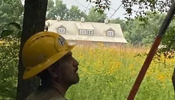 Tree Removal for Village Tree Service  in Whitestown, IN