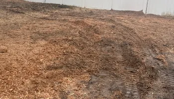 Stump Grinding for Busy Beaver Stump Removal, Inc in Clearwater, FL