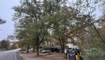 Land Clearing for Mud Creek Vegetation Management in Russellville, AL