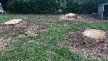 Stump Grinding for Anchor & Grind Stump in Chesapeake, VA