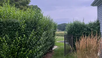 Mowing for Adens Lawn Maintenance LLC  in Old Lyme, CT