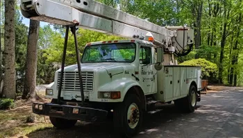 General Handyman Services for Goliath Tree Maintenance and Haul Away in Seneca, SC