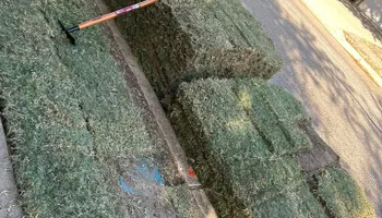 Mowing for Rustic Roots Landscaping in Austin, TX