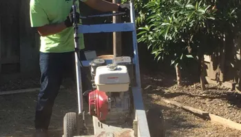 Tree Removal for Lalo's Tree Service in Willows, CA