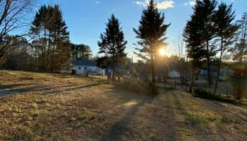 Tree Removal for MTJ Tree Removal LLC in Zebulon, NC