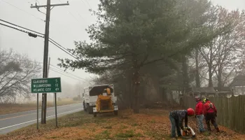 Tree Removal for Melnyk’s Tree Service in Salem County, NJ