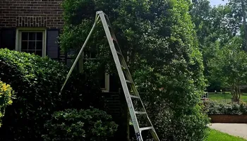 Lawn Maintenance for Surprising Odyssey in Gibsonville, NC