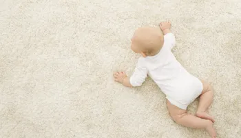 Our Process for Pro Clean Carpet Care in Sierra Vista, AZ