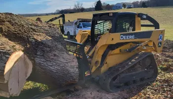 Tree Removal for Smith Tree Experts in Palmyra, VA