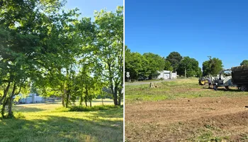 Tree Removal for Optimum Tree Service And Landscaping in Bowling Green, KY