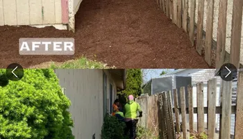 Tree Removal for T&S Tree Care LLC in Portland, OR