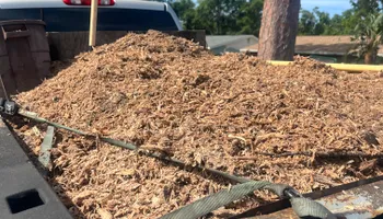 Stump Grinding for Busy Beaver Stump Removal, Inc in Clearwater, FL