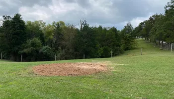 Tree Removal for Houtz Tree Service in Lexington, KY