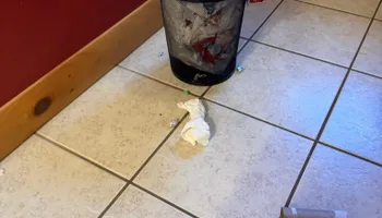 Residential Cleaning for A+ Cleaning and Services LLC in Deep Creek Lake, MD 