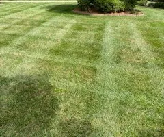 Lawn Maintenance for Dream Cuts Landscaping and Lawn Care LLC in Gastonia, NC