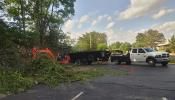 Tree Removal for M&L Lumber and Excavating in Jonesborough, TN