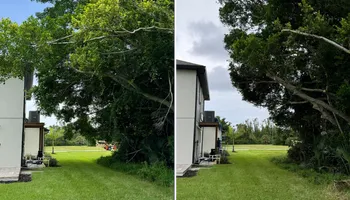 Tree Removal for Lemon Bay Tree Service  in Englewood, FL