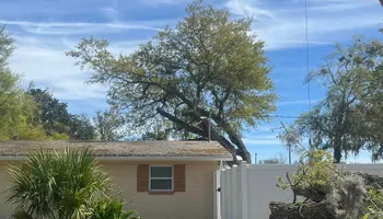 Tree Removal for Top Notch Tree Experts in Orange Park, FL