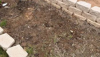 Mowing for Rustic Roots Landscaping in Austin, TX