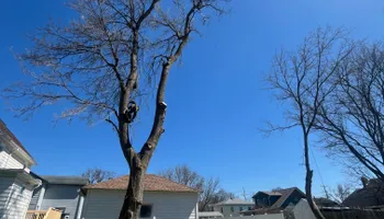 Tree Removal for Licensed to Cut Tree Service in Athens, PA